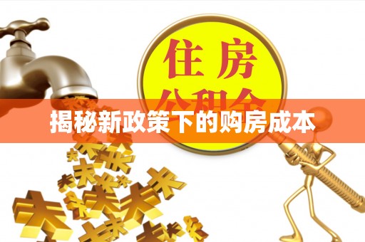 沙湾揭秘新政策下的购房成本