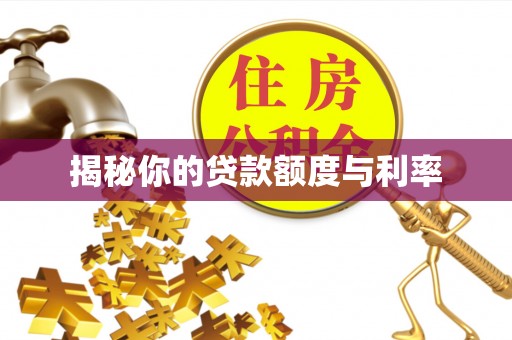 沙湾揭秘你的贷款额度与利率