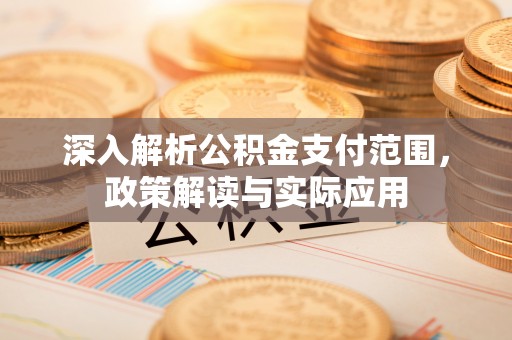 沙湾深入解析公积金支付范围，政策解读与实际应用