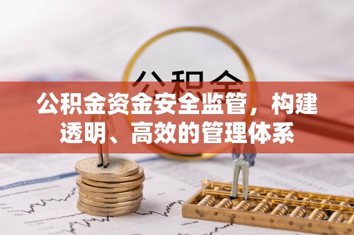 沙湾公积金资金安全监管，构建透明、高效的管理体系