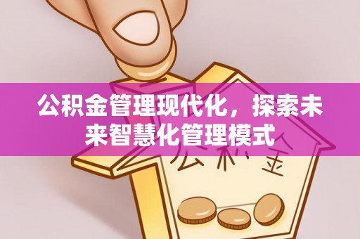 沙湾公积金管理现代化，探索未来智慧化管理模式