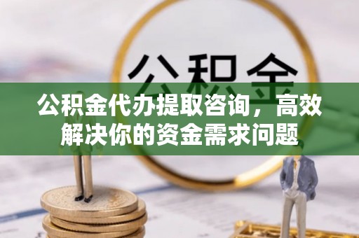 沙湾公积金代办提取咨询，高效解决你的资金需求问题