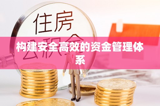 沙湾构建安全高效的资金管理体系