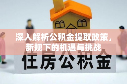 沙湾深入解析公积金提取政策，新规下的机遇与挑战
