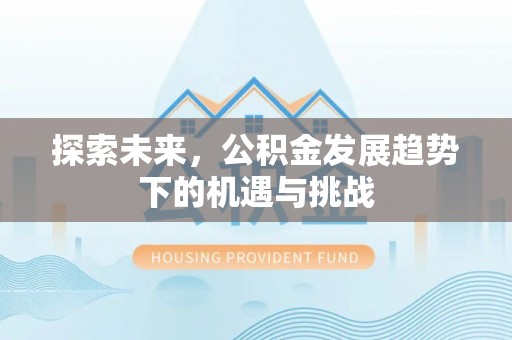 沙湾探索未来，公积金发展趋势下的机遇与挑战