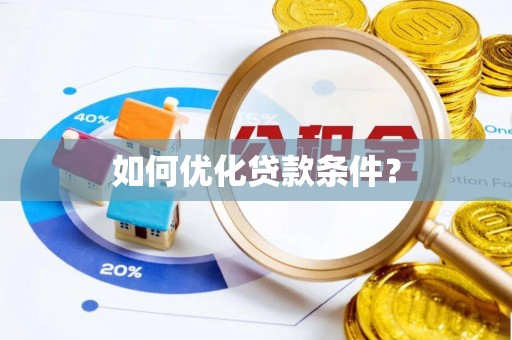 沙湾如何优化贷款条件？