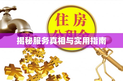 沙湾揭秘服务真相与实用指南