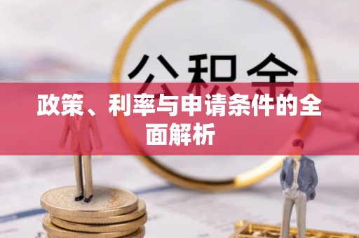 沙湾政策、利率与申请条件的全面解析