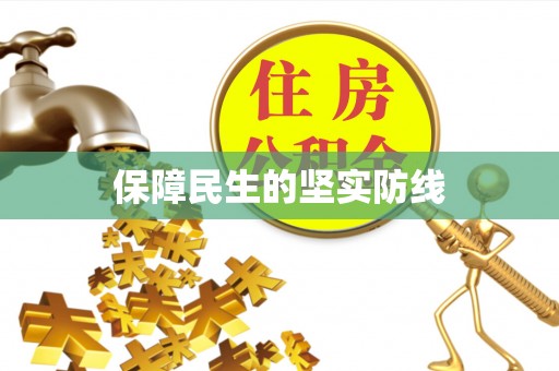 沙湾保障民生的坚实防线