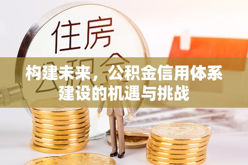 沙湾构建未来，公积金信用体系建设的机遇与挑战
