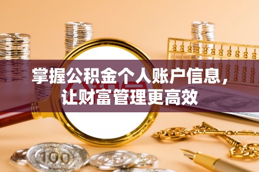 沙湾掌握公积金个人账户信息，让财富管理更高效