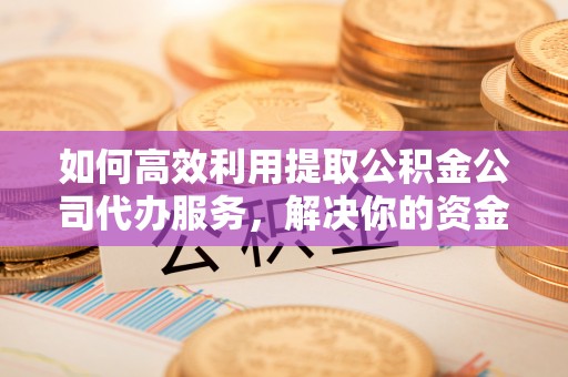 沙湾如何高效利用提取公积金公司代办服务，解决你的资金难题