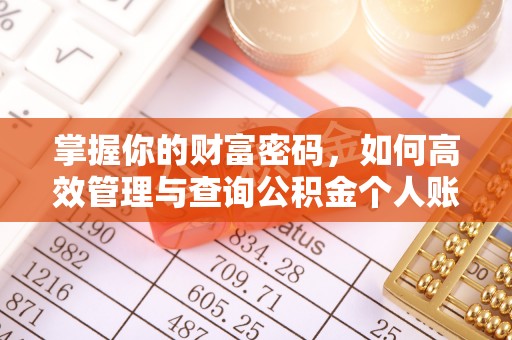 沙湾掌握你的财富密码，如何高效管理与查询公积金个人账户信息