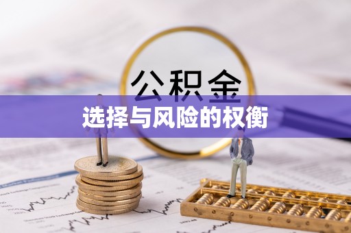 沙湾选择与风险的权衡