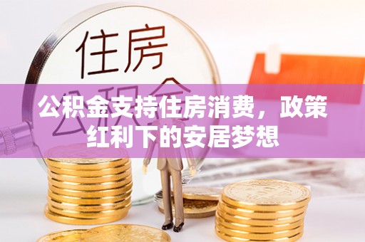 沙湾公积金支持住房消费，政策红利下的安居梦想