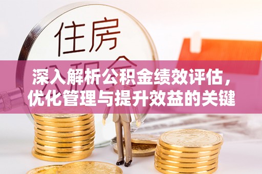 沙湾深入解析公积金绩效评估，优化管理与提升效益的关键路径
