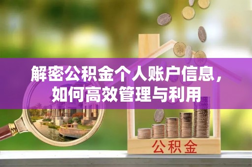 沙湾解密公积金个人账户信息，如何高效管理与利用