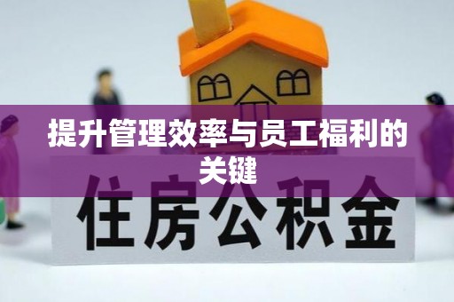 沙湾提升管理效率与员工福利的关键