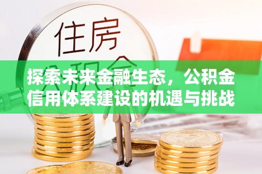 沙湾探索未来金融生态，公积金信用体系建设的机遇与挑战