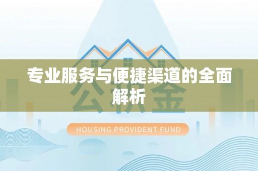 沙湾专业服务与便捷渠道的全面解析