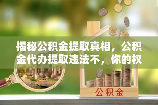 沙湾揭秘公积金提取真相，公积金代办提取违法不，你的权益如何保障？