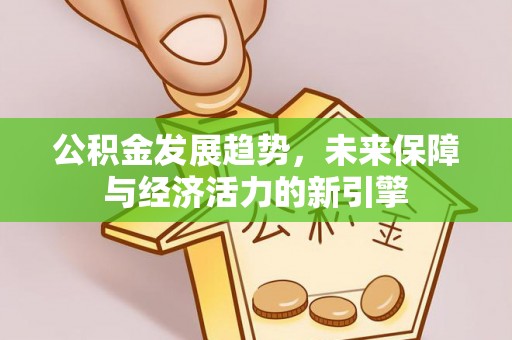 沙湾公积金发展趋势，未来保障与经济活力的新引擎