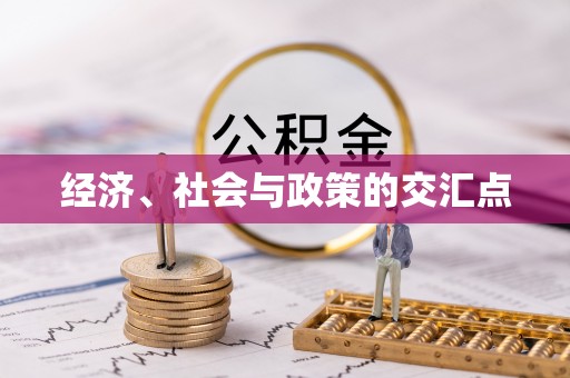 沙湾经济、社会与政策的交汇点