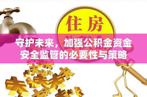 沙湾守护未来，加强公积金资金安全监管的必要性与策略