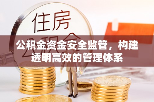 沙湾公积金资金安全监管，构建透明高效的管理体系