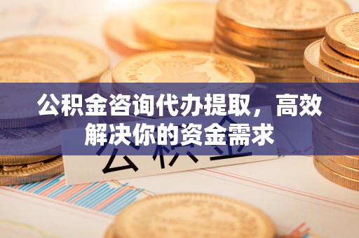 沙湾公积金咨询代办提取，高效解决你的资金需求