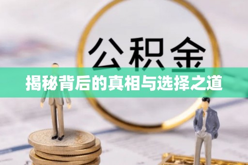 沙湾揭秘背后的真相与选择之道