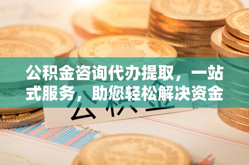 沙湾公积金咨询代办提取，一站式服务，助您轻松解决资金难题
