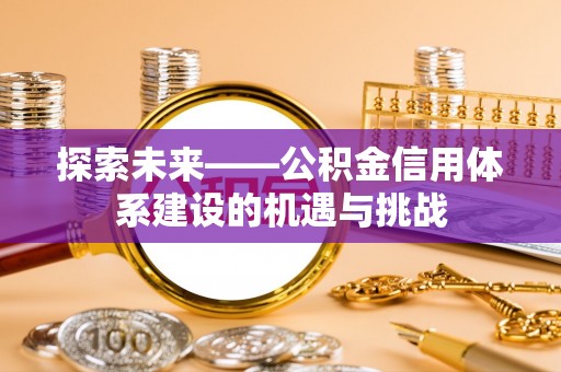 沙湾探索未来——公积金信用体系建设的机遇与挑战