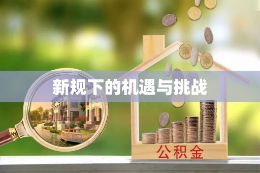 沙湾新规下的机遇与挑战