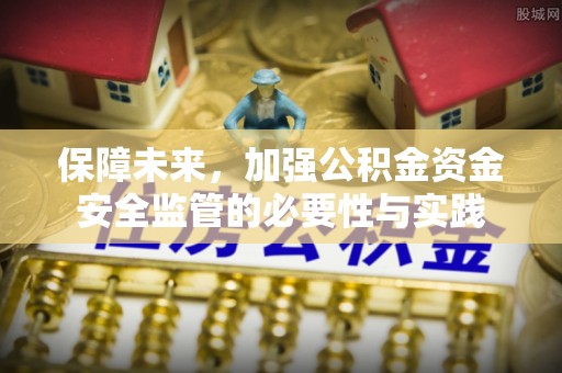 沙湾保障未来，加强公积金资金安全监管的必要性与实践