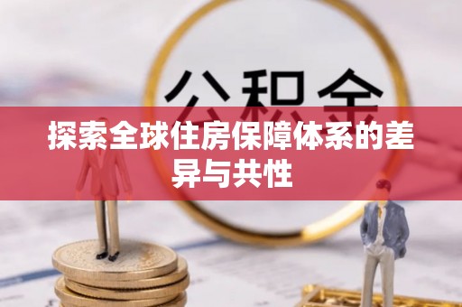 沙湾探索全球住房保障体系的差异与共性