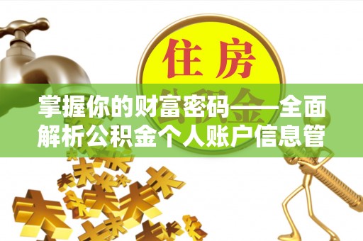 沙湾掌握你的财富密码——全面解析公积金个人账户信息管理与优化