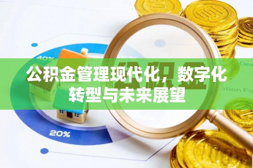 沙湾公积金管理现代化，数字化转型与未来展望