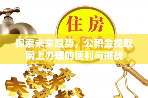 沙湾探索未来趋势，公积金提取网上办理的便利与挑战