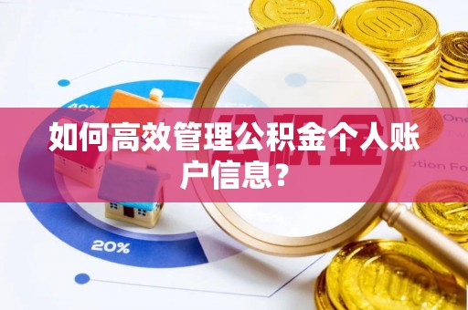 沙湾如何高效管理公积金个人账户信息？