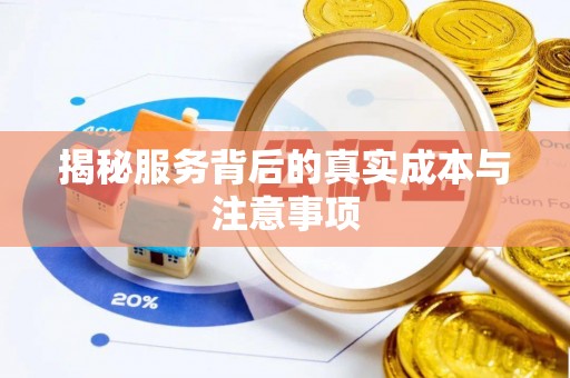 沙湾揭秘服务背后的真实成本与注意事项