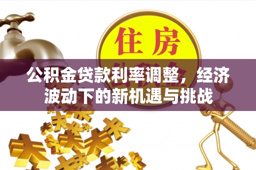 沙湾公积金贷款利率调整，经济波动下的新机遇与挑战