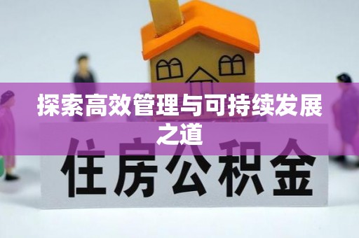 沙湾探索高效管理与可持续发展之道