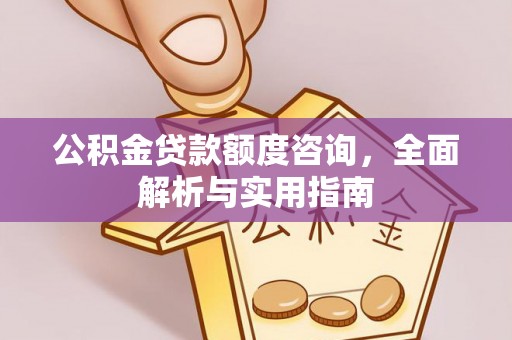 沙湾公积金贷款额度咨询，全面解析与实用指南