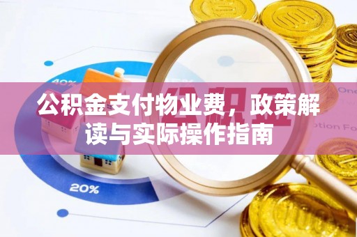 沙湾公积金支付物业费，政策解读与实际操作指南