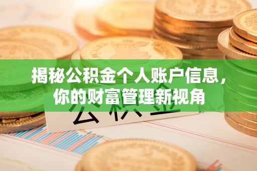 沙湾揭秘公积金个人账户信息，你的财富管理新视角