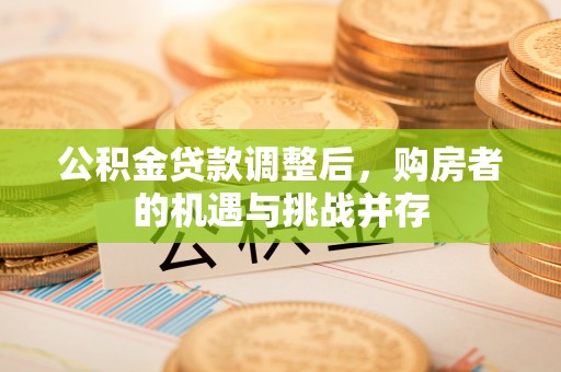 沙湾公积金贷款调整后，购房者的机遇与挑战并存