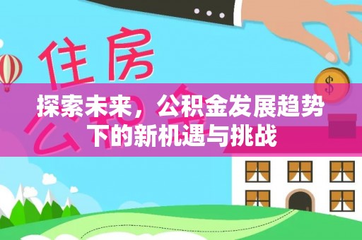 沙湾探索未来，公积金发展趋势下的新机遇与挑战