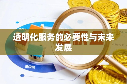 沙湾透明化服务的必要性与未来发展