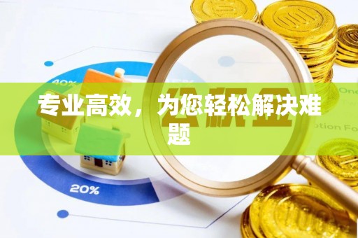 沙湾专业高效，为您轻松解决难题